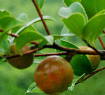 �c(di��n)���鿴Ԕ��(x��)