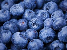 �c���鿴Ԕ��(x��)